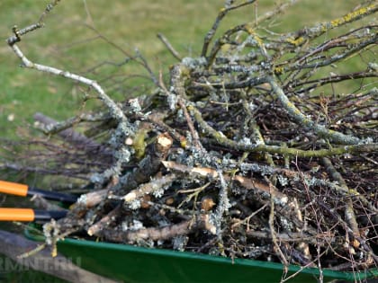 Правила сжигания растительных отходов в частном доме