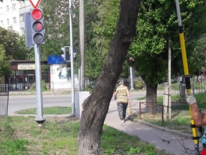 В Таганроге провели обрезку деревьев на трех улицах