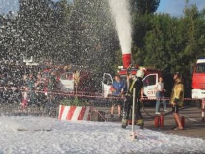 Неосторожное обращение с огнем: в дачном товариществе «Лагуна» в Таганроге произошел пожар