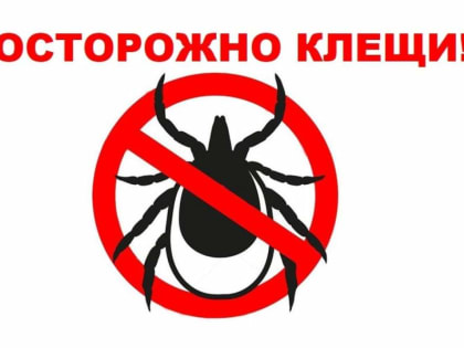 Кровососы просыпаются: дончан предупредили об опасности клещей