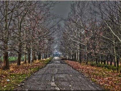 Новый год в Ростовской области встретим без снега, зато с потеплением