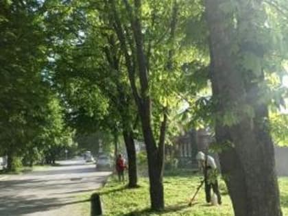 В Таганроге продолжается покос травы