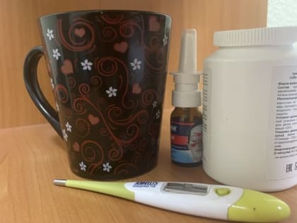 В Ростовской области продолжают фиксировать новые случаи заражения ОРВИ