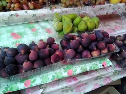 Ростовские специалисты рассказывают о пользе инжира