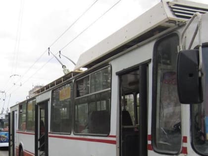 В Ростовской области наказан высадивший детей из-за отсутствия сдачи водитель троллейбуса