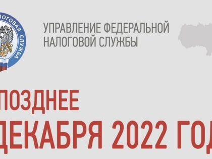 У жителей Новочеркасска, как и у всех россиян, осталось два дня на уплату имущественных налогов