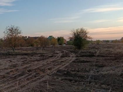 Восемь свалок уберут в Таганроге до конца ноября