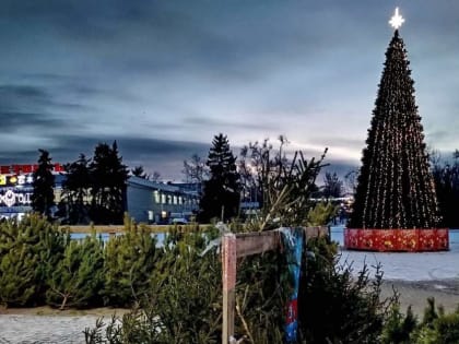Волгодонск готовится встретить Новый год