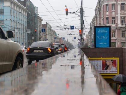 Чем опасна тёплая ростовская зима