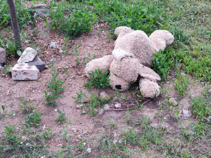 Сколько ещё продлится жара в Ростове