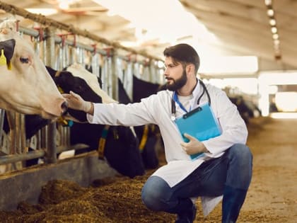 Батайчанам напоминают о необходимости профилактики бешенства и бруцеллеза