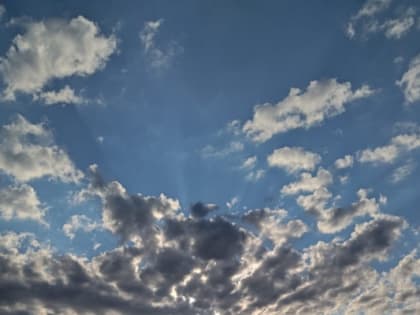 Ученики школы №14 присоединились к фотопроекту «Я люблю город Шахты»