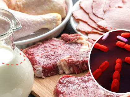 Профилактика и борьба с заразными болезнями, общими для человека и животных. Листериоз