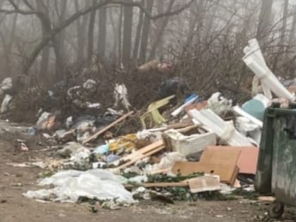 В Ростове в Первомайском районе образовалась стихийная свалка