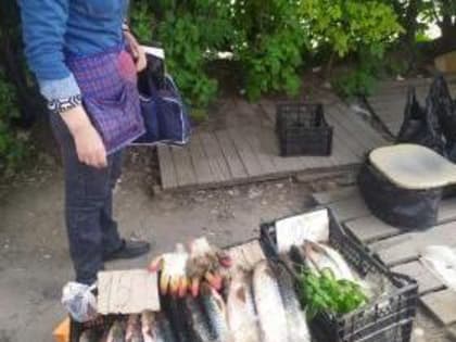 Об опасности приобретения продуктов питания в местах несанкционированной торговли