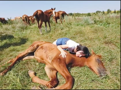 В Ростовской области специально обученные лошади помогут справиться с психологическими проблемами