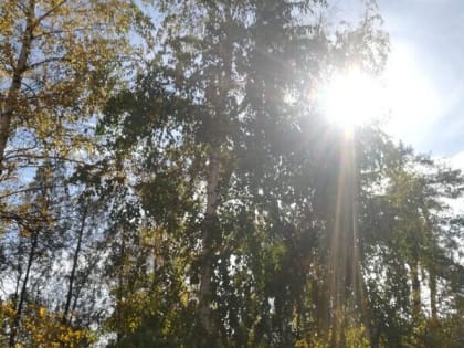 Ясная и теплая середина недели ждет шахтинцев