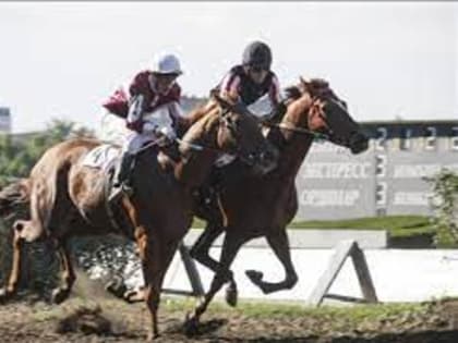 Суд вновь отказал в признании ростовского ипподрома объектом культурного наследия