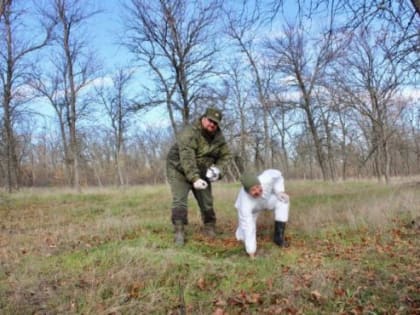 В Ростовской области животных начнут прививать от бешенства «вкусной» вакциной