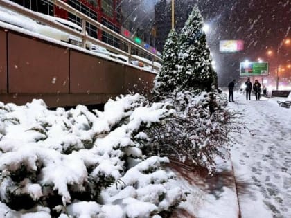 МЧС Ростовской области продлило штормовое предупреждение до 11 января из-за сильного ветра, снега и морозов