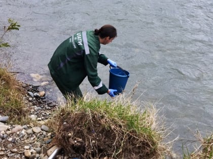 Воду в реке Северский Донец признали опасной для людей в Ростовской области