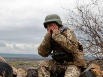 Казачий отряд «Дон» объявил о наборе добровольцев для участия в СВО на Украине