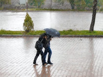 Жителей Ростовской области предупредили о граде и ураганном ветре 26 июля