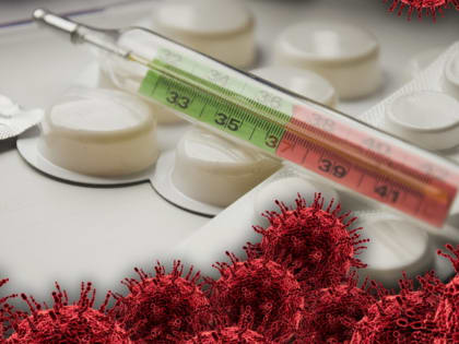 Добрался ли новый штамм COVID-19 «кентавр» до ростовчан?