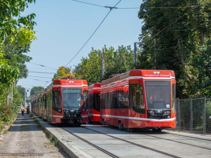 Идем на рекорд: яркое событие состоится завтра