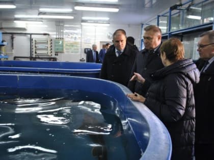 Донское рыбное хозяйство  развивается благодаря государственной поддержке