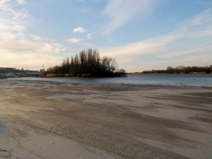 В Ростовской области многодневный штормовой ветер  выдул из Дона воду