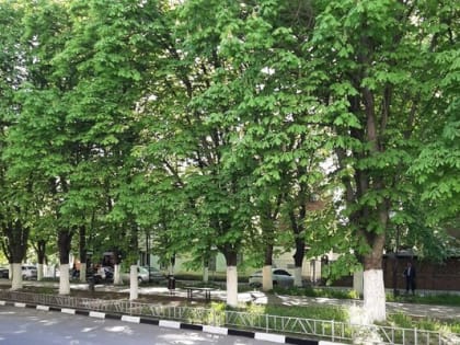 Жаркие и дождливые выходные обещают шахтинцам