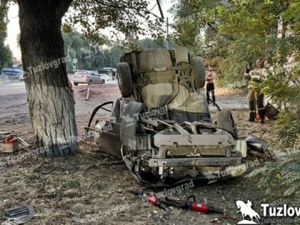 В Новочеркасске нетрезвый водитель врезался в дерево