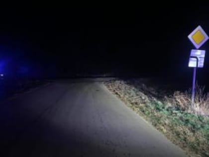 Под Зерноградом два ребенка пострадали в ДТП
