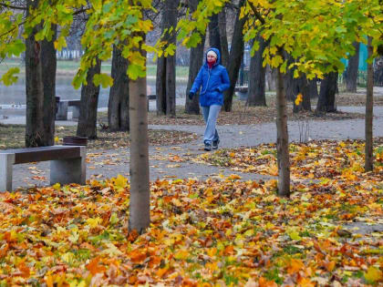 В Ростов-на-Дону 21 ноября придет необычное для ноября потепление