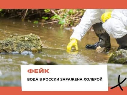 По Ростову распространяется фейк о холере