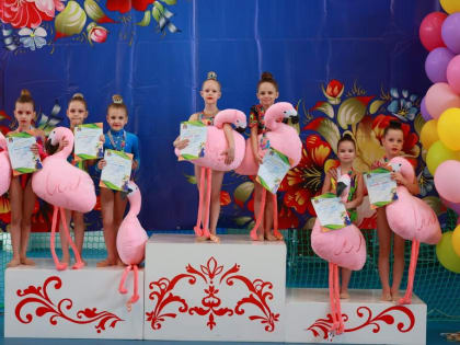 Открытое Первенство Аксайского района по художественной гимнастике