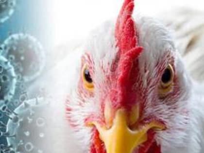 Таганрог: новые инициативы в области здравоохранения