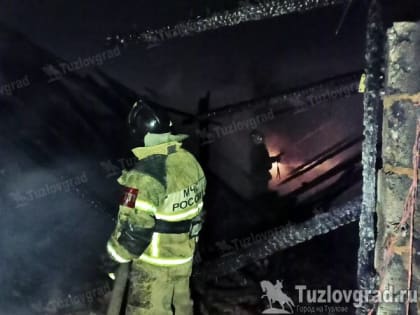 В Новочеркасске сгорел птичник, пока не было хозяина