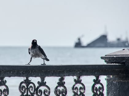 Погода в Таганроге 3 июля: +30°, ясно, без осадков