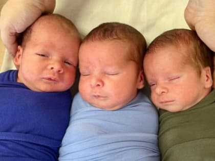 В июле в перинатальном центре Ростовской области родились три тройни