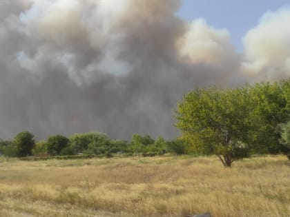 В Ростовской области ликвидируют сразу несколько очагов ландшафтных пожаров