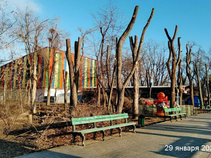 Санитарная и формовочная обрезка деревьев в парке Победы идёт на полную мощность