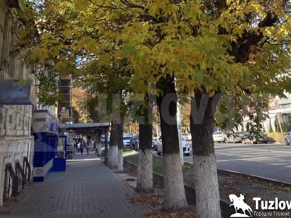 В Новочеркасске ожидается похолодание в начале ноября