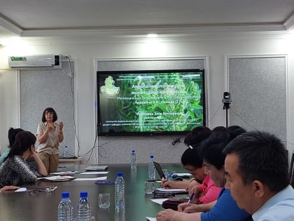 Ученые РостГМУ: «За 50 лет аллергенов в воздушной среде стало в разы больше»