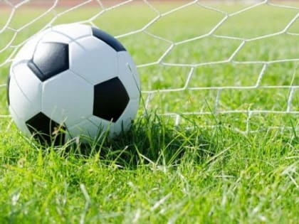 Приглашаем на просмотр!