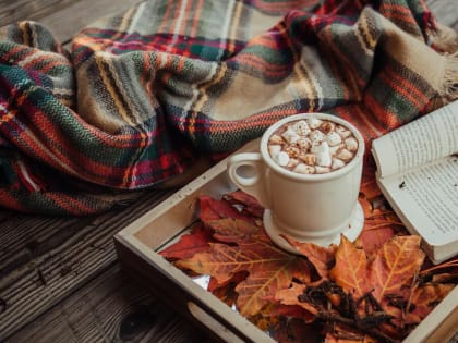 В Ростовской области похолодает до +8 градусов 2 сентября