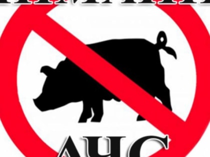 Еще один очаг африканской чумы свиней в Ростовской области