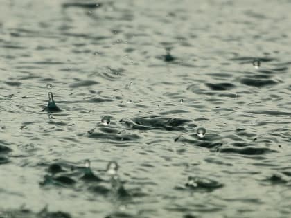 Дождливая и холодная погода ожидается в Ростове-на-Дону в первый день зимы 1 декабря