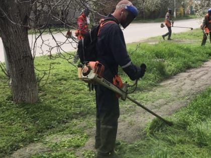 Покос травы на улице Циолковского проведут до 24 августа